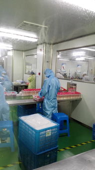 上海OEM護(hù)膚品加工廠 一站式信息咨詢服務(wù)指南